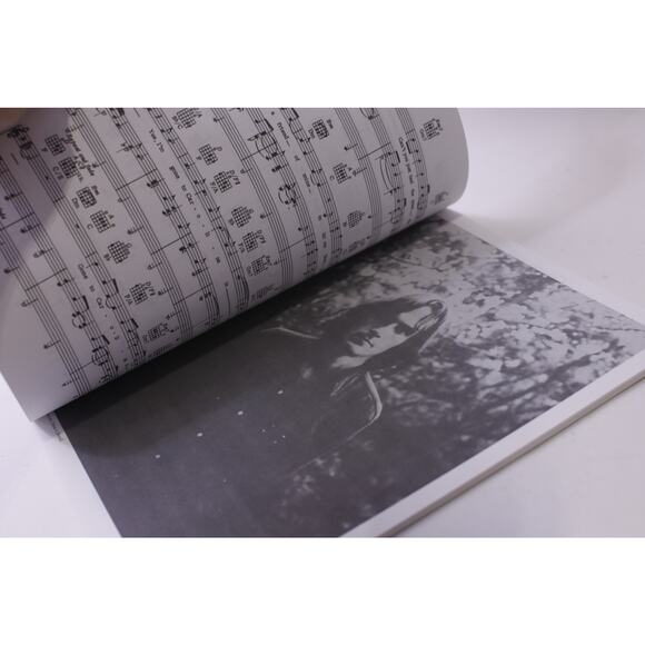 James Taylor, Greatest Hits, Songbook, Alfred 1978 Sheet Music, ~ 251016-WH 1377 - Picture 3 of 4